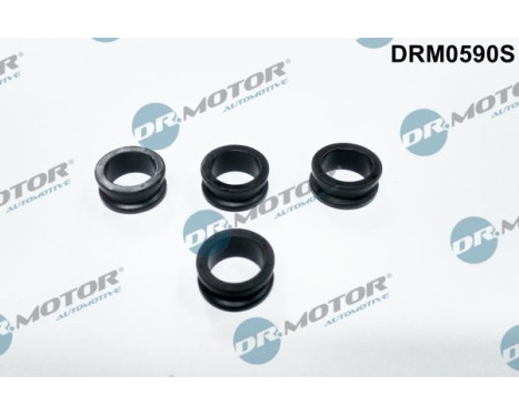 Seal ring, Atomizer/Injector