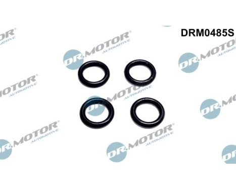 Seal ring, Atomizer/Injector