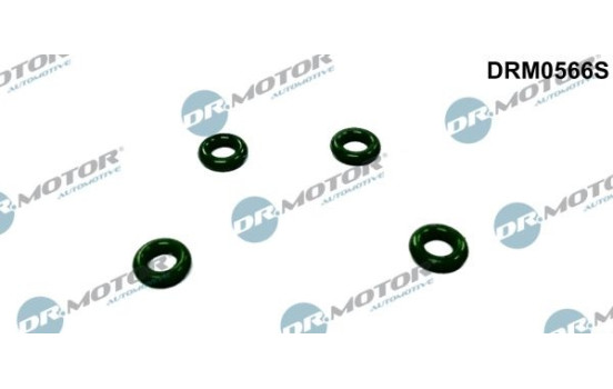 Seal ring, Atomizer/Injector