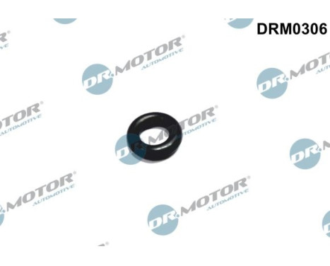 Seal ring, Atomizer/Injector