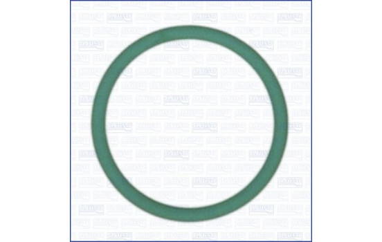 Seal ring, Atomizer/Injector