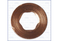 Seal ring, Atomizer/Injector