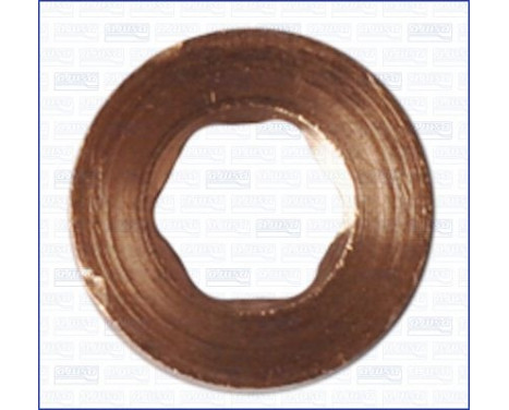 Seal ring, Atomizer/Injector