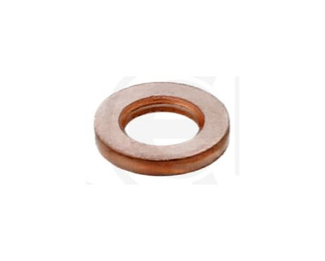 Seal ring, Atomizer/Injector