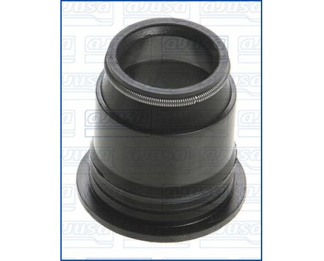 Seal ring, Atomizer/Injector, Image 2