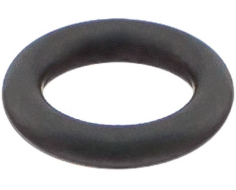 Seal ring, Atomizer/Injector