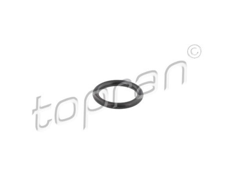Sealing ring, Injector/Nozzle