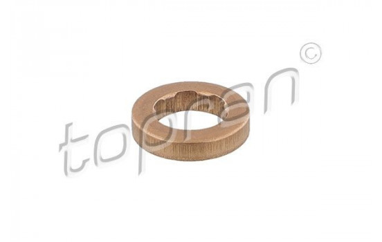 Sealing ring, Injector/Nozzle