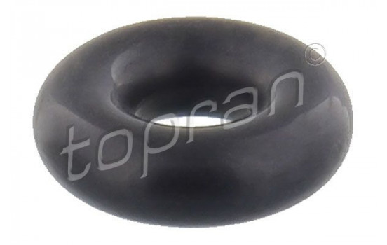 Sealing ring, Injector/Nozzle