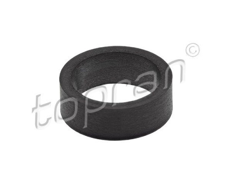 Sealing ring, Injector/Nozzle