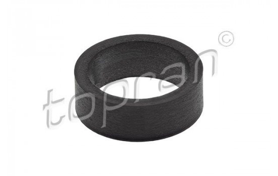 Sealing ring, Injector/Nozzle