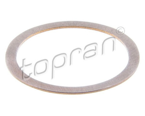 Sealing ring, Injector/Nozzle