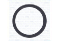 Sealing ring, Injector/Nozzle