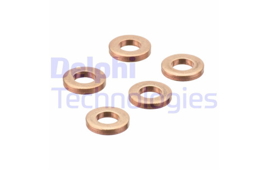 Sealing ring, Injector/Nozzle