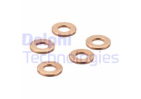 Sealing ring, Injector/Nozzle