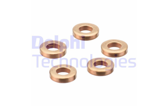 Sealing ring, Injector/Nozzle