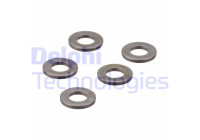 Sealing ring, Injector/Nozzle