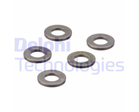 Sealing ring, Injector/Nozzle