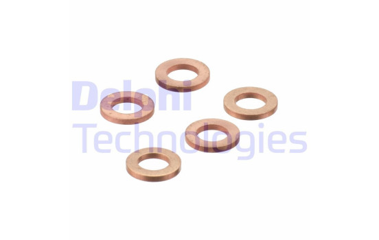 Sealing ring, Injector/Nozzle