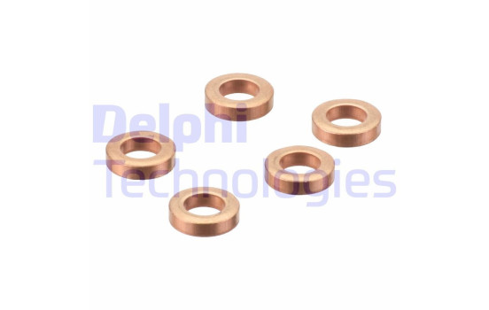 Sealing ring, Injector/Nozzle