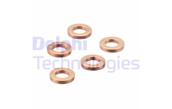 Sealing ring, Injector/Nozzle