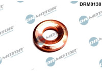Sealing ring, Injector/Nozzle