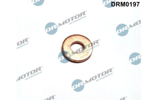 Sealing ring, Injector/Nozzle