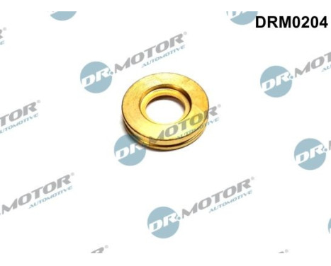 Sealing ring, Injector/Nozzle