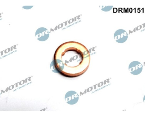 Sealing ring, Injector/Nozzle