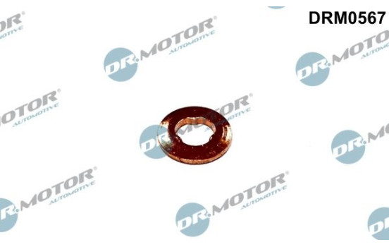 Sealing ring, Injector/Nozzle