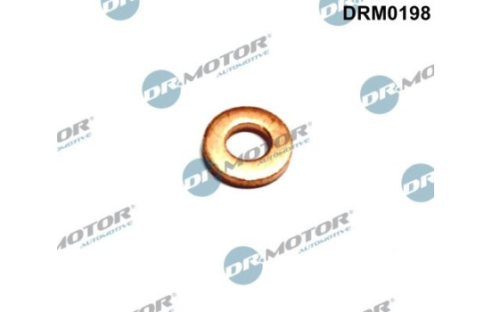 Sealing ring, Injector/Nozzle