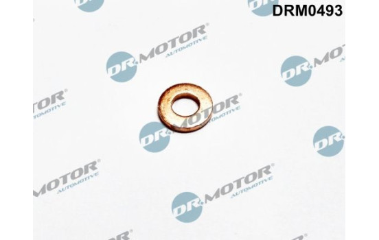 Sealing ring, Injector/Nozzle
