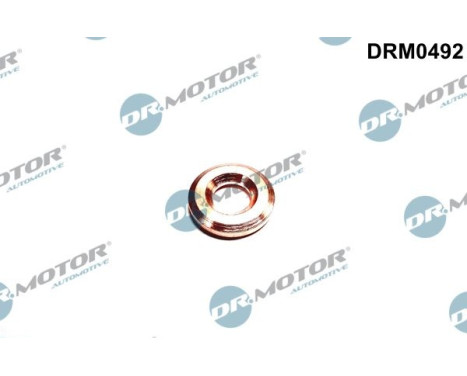 Sealing ring, Injector/Nozzle