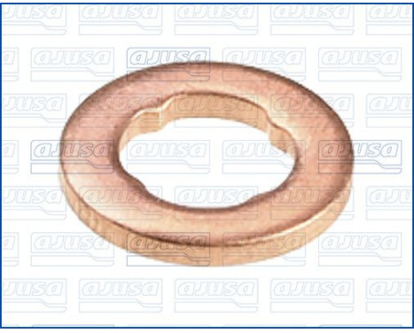 Sealing ring, Injector/Nozzle