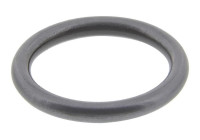 Sealing ring, Injector/Nozzle