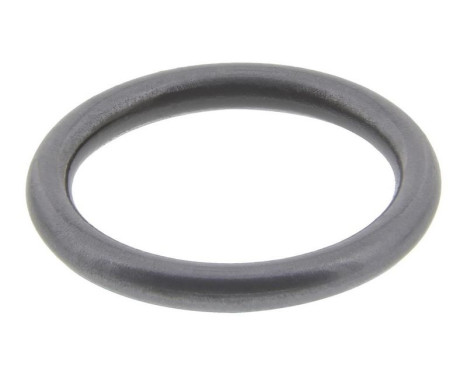 Sealing ring, Injector/Nozzle