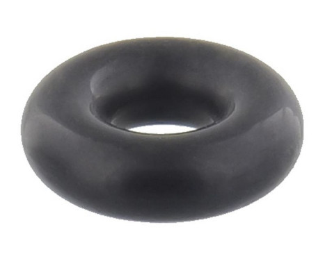 Sealing ring, Injector/Nozzle