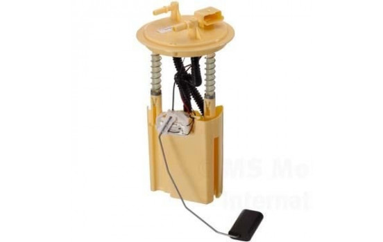 Fuel Feed Unit 7.07795.16.0 Pierburg