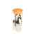 Fuel Feed Unit FSM-D.46-DCSI Bosch, Thumbnail 3