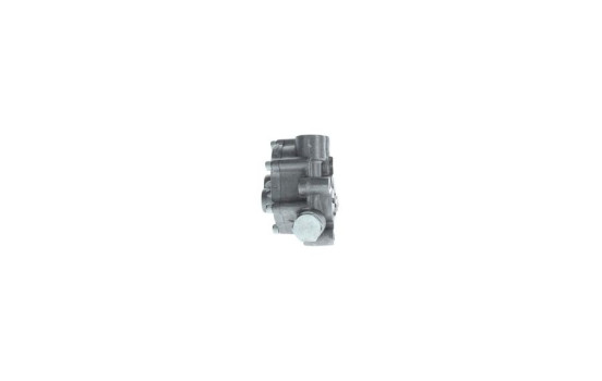 Fuel Pump K S00 001 609 Bosch, Image 2