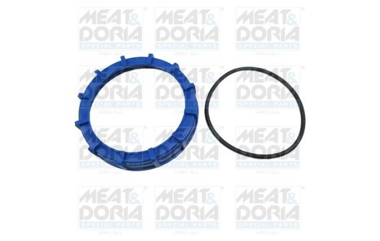 Gasket, fuel transfer