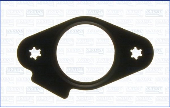 Gasket/ Seal