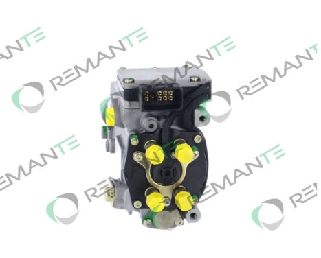 Injection pump, Image 2