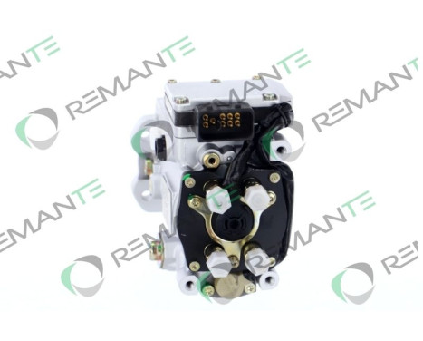 Injection pump, Image 2