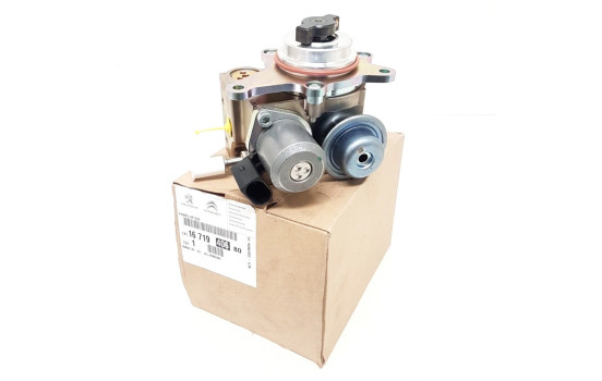 Peugeot Fuel pump