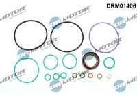 Repair kit, fuel pump