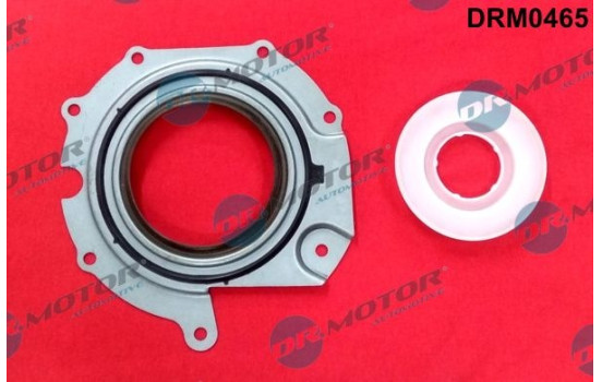 Seal ring, fuel pump