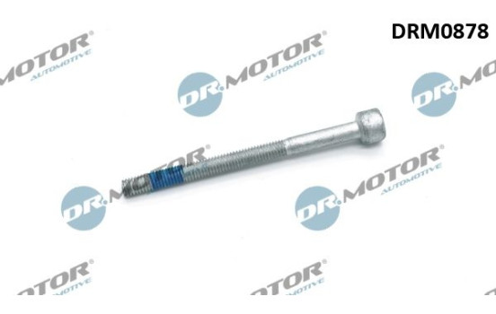 Screw, injection nozzle holder