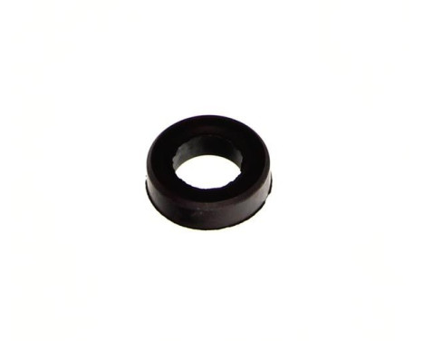 Seal ring, nozzle holder