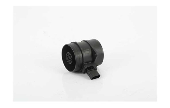 Air mass meter